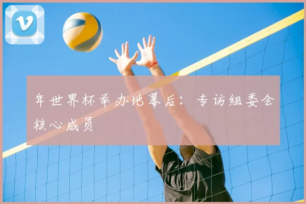 年世界杯举办地幕后：专访组委会核心成员
