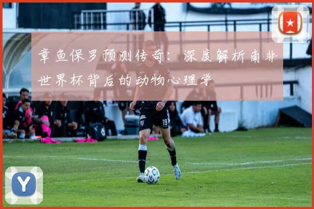 章鱼保罗预测传奇:深度解析南非世界杯背后的动物心理学