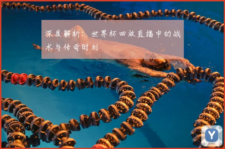 深度解析：世界杯回放直播中的战术与传奇时刻