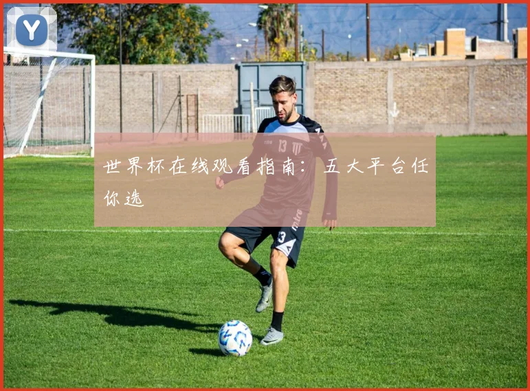 世界杯在线观看指南：五大平台任你选