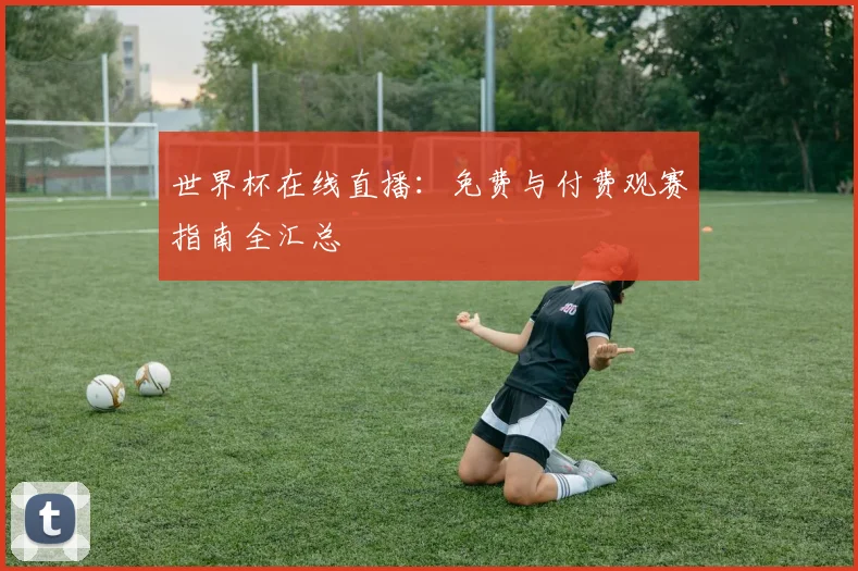 世界杯在线直播：免费与付费观赛指南全汇总
