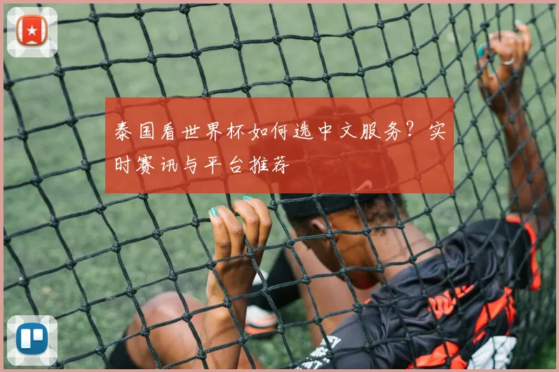 泰国看世界杯如何选中文服务？实时赛讯与平台推荐