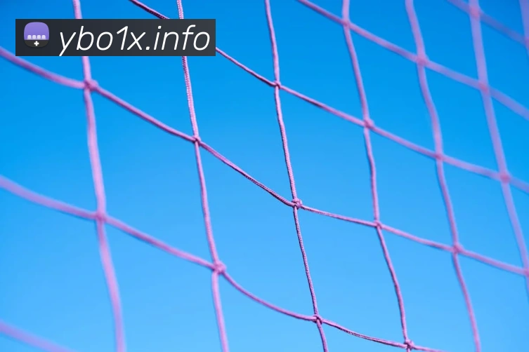 九游体育官网登录入口品牌故事